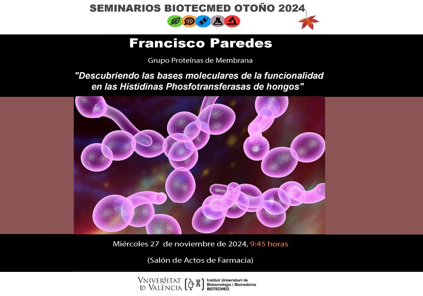 Image de la noticia